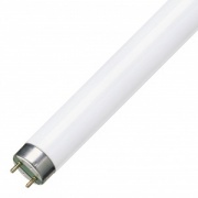 Люминесцентная лампа T8 Philips TL-D 36W/54-765 G13, 1200 mm